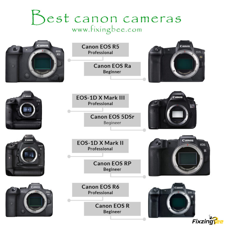 Best canon cameras buying guidance in 2021