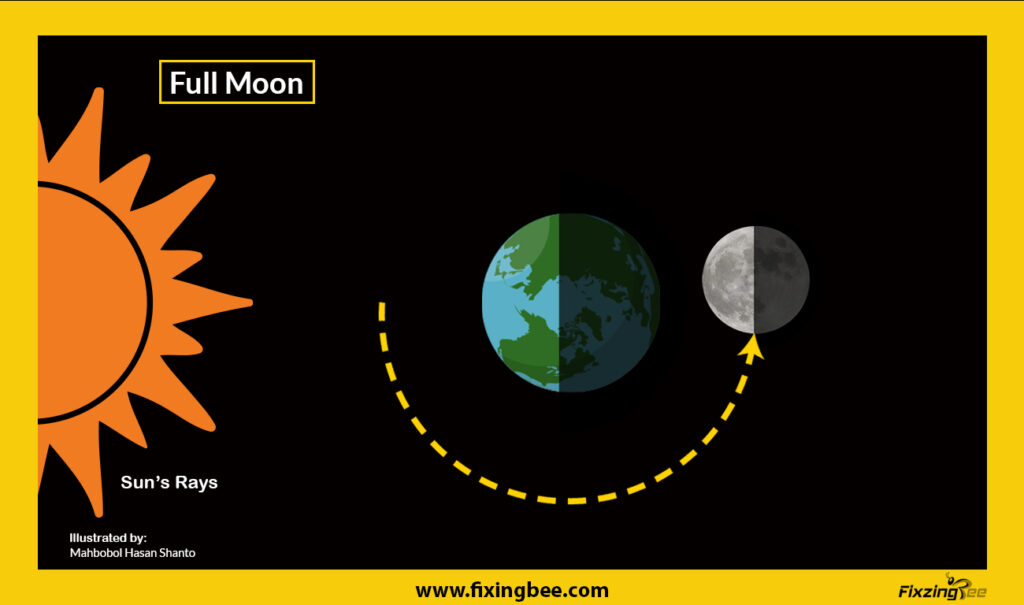 Full moon- the moon's phases in order
