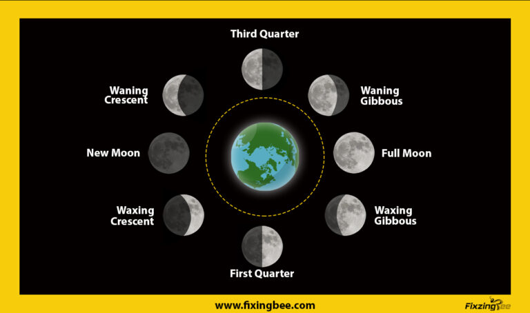 Moon's phases in order
