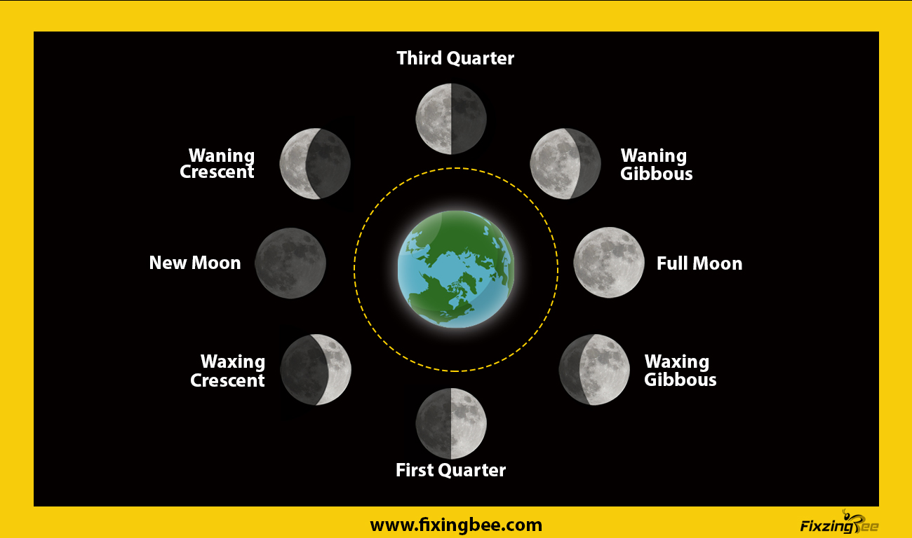 Everything about the Moon's phases 2021 FixingBee