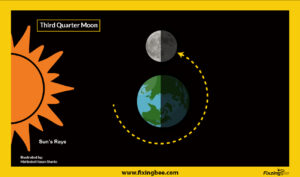 The Final Quarter Moon