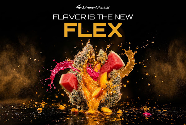 Advanced Nutrients facility and product lineup under Big Mike Straumietis